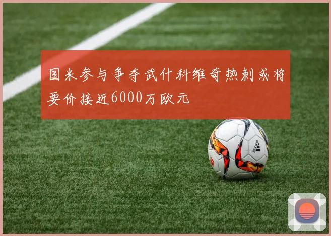国米参与争夺武什科维奇热刺或将要价接近6000万欧元