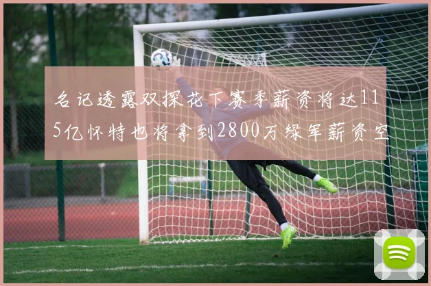 名记透露双探花下赛季薪资将达115亿怀特也将拿到2800万绿军薪资空间依旧紧张
